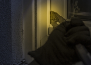 UK Residents' Burglary Concerns UK Residents' Burglary Concerns