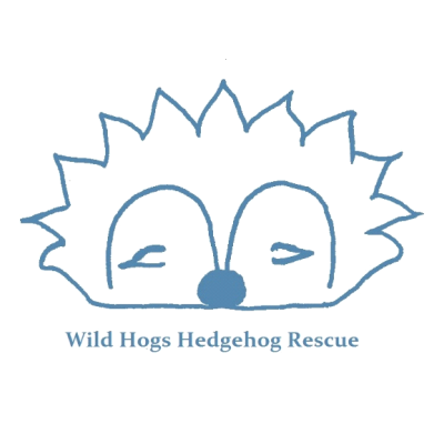 Wild Hogs Hedgehog Rescue